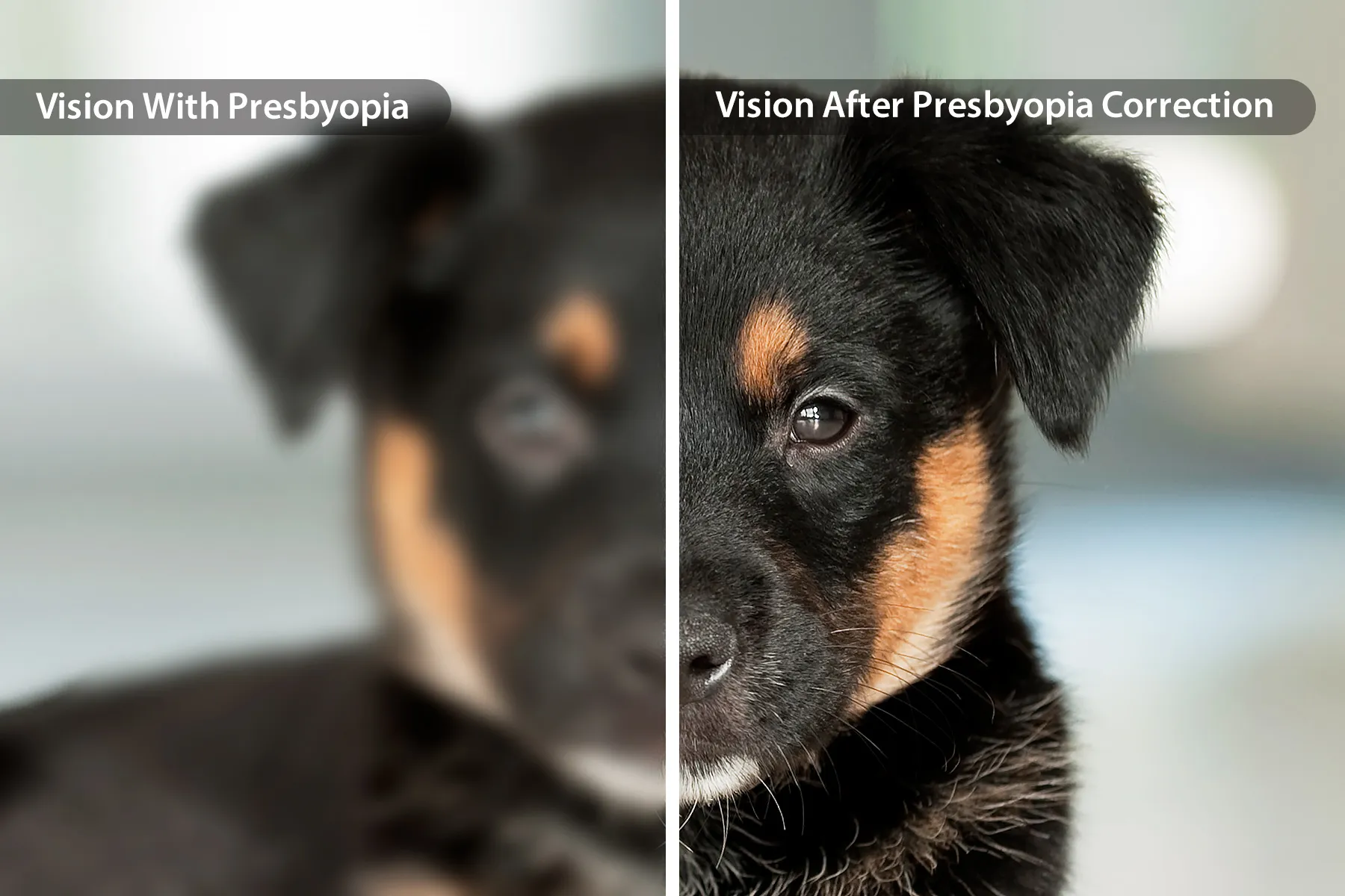 Vision After 40: Presbyopia Symptoms, Causes, and Treatment Options